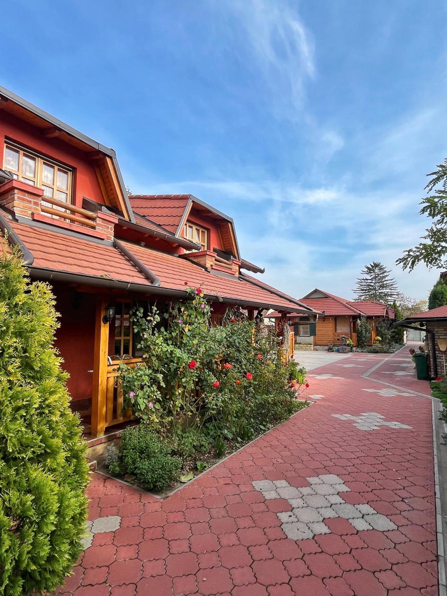 Eko Apartmani Backi Petrovac Exterior foto